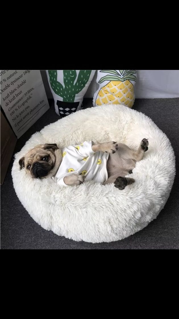 Productos Cama de Perro