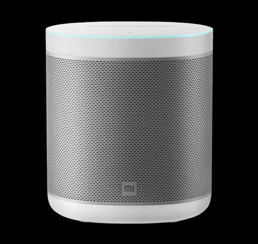 Mi Smart Speaker