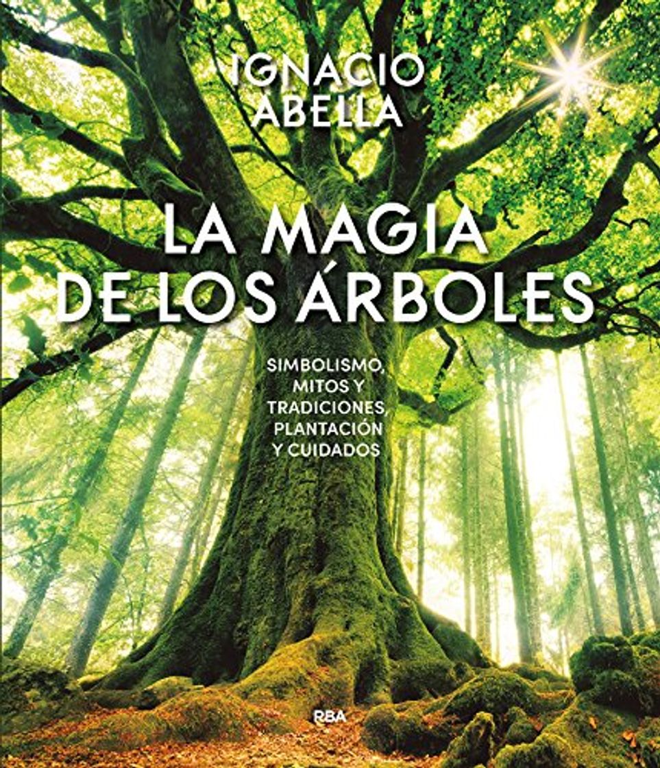 Libros La magia de los árboles