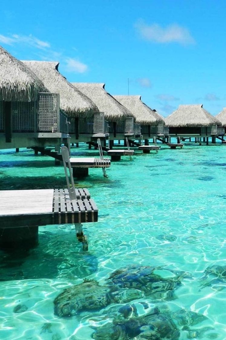 Moda Polinésia Francesa - Ilha de Bora Bora 