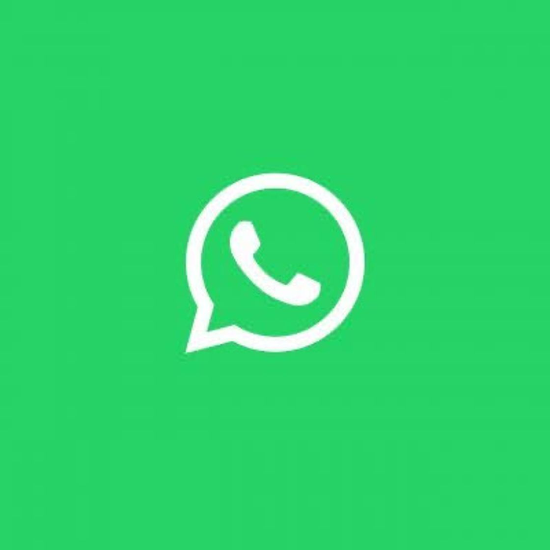 App Whatsapp 