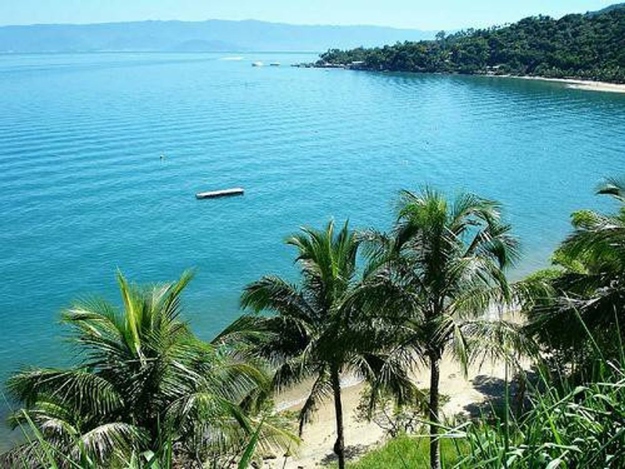 Moda Ilha Bella🏖