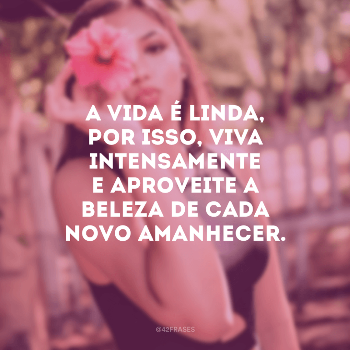 Moda Frases ✨