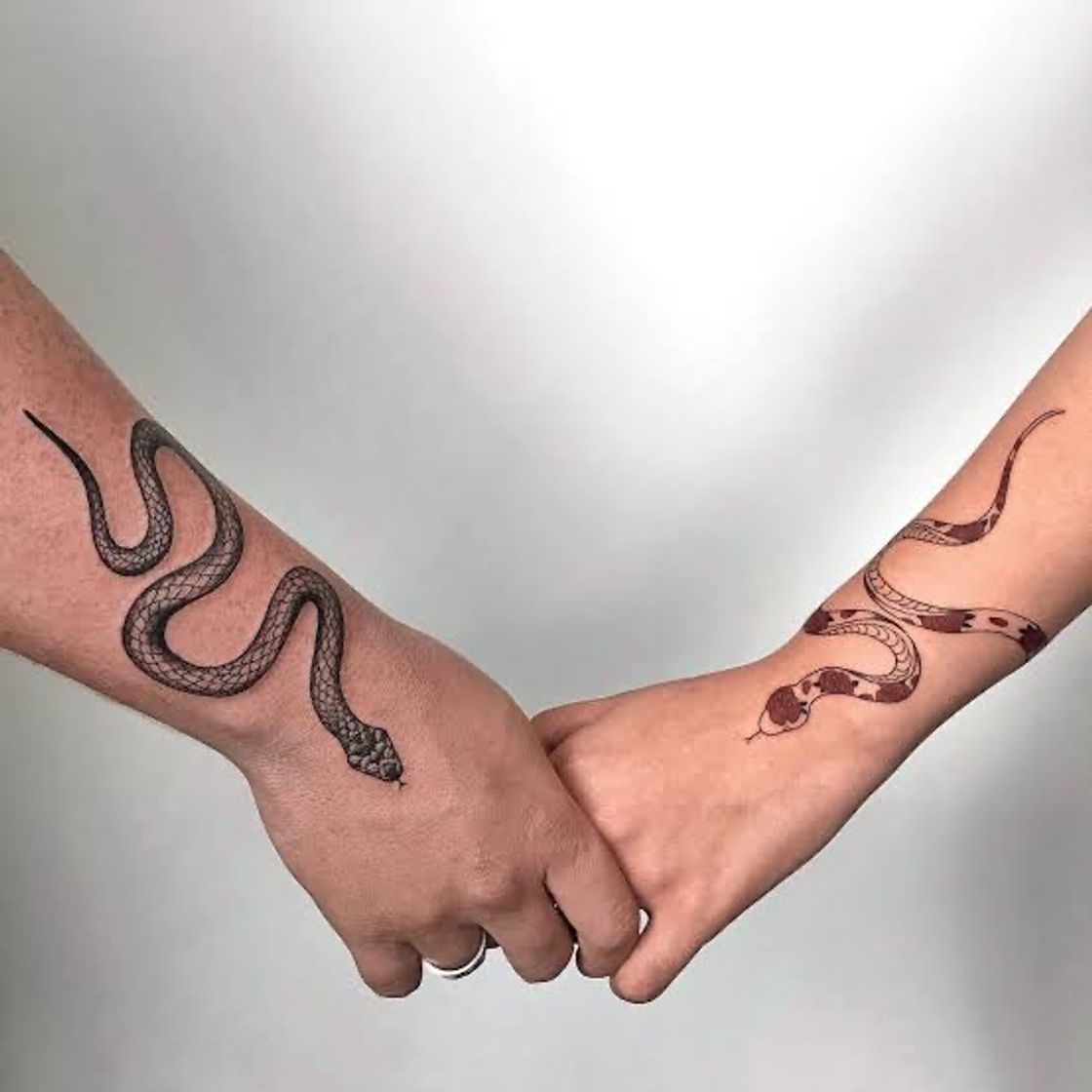 Fashion Tatuagem de cobra