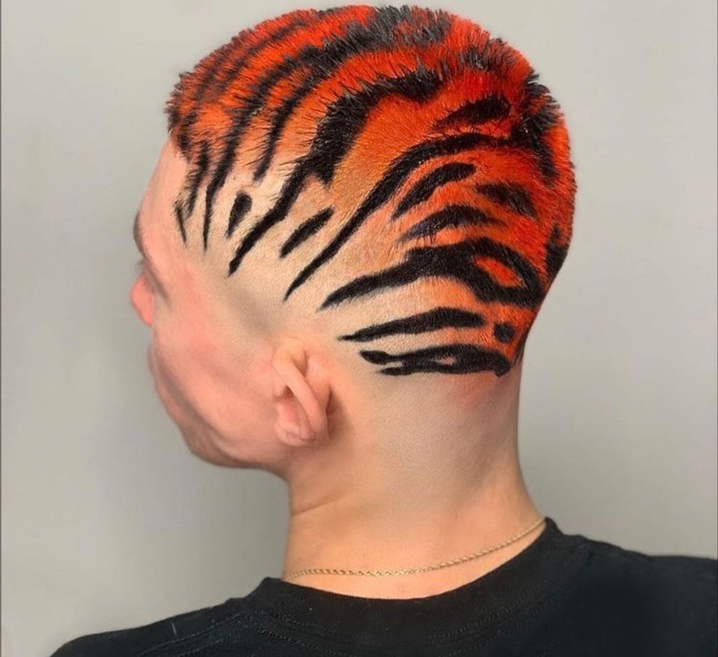 Moda Cabelo de tigre 🐅 