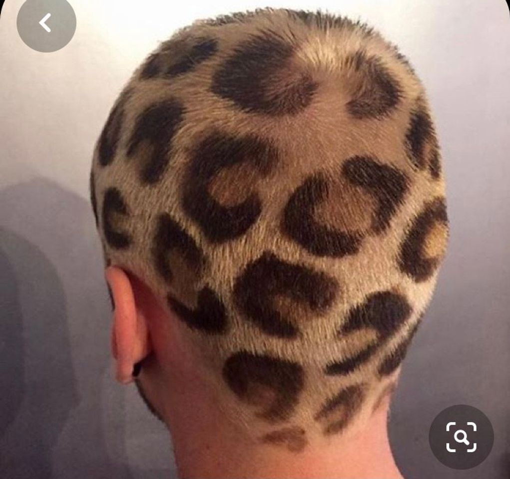 Moda Cabelo onça pintada 🐆