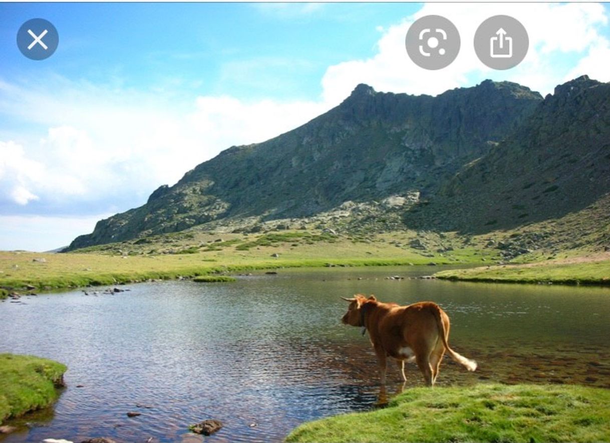 Lugar Laguna Grande de Peñalara