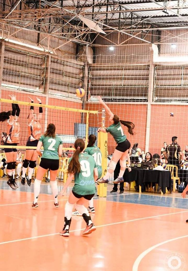 Moda Amor muito grande pelo vôlei 🏐💚