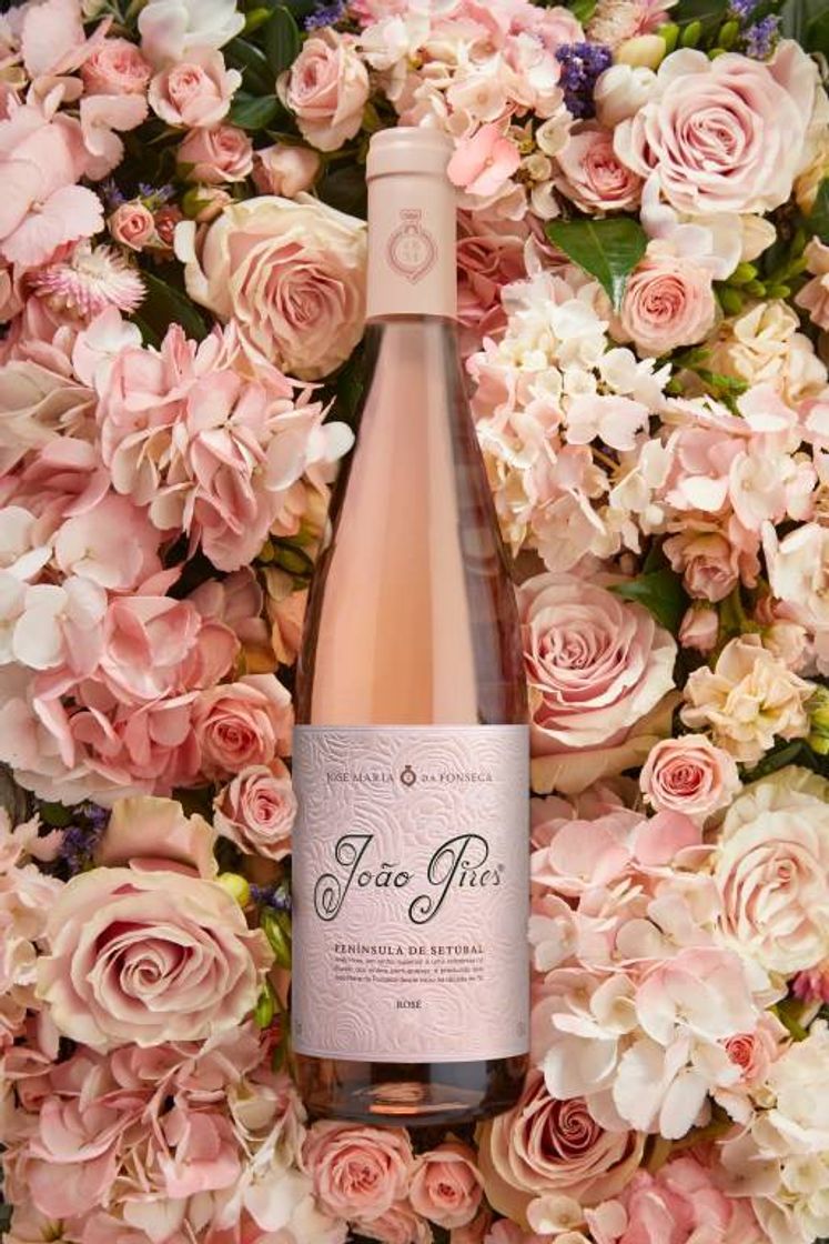 Producto José Maria da Fonseca lança João Pires Rosé 