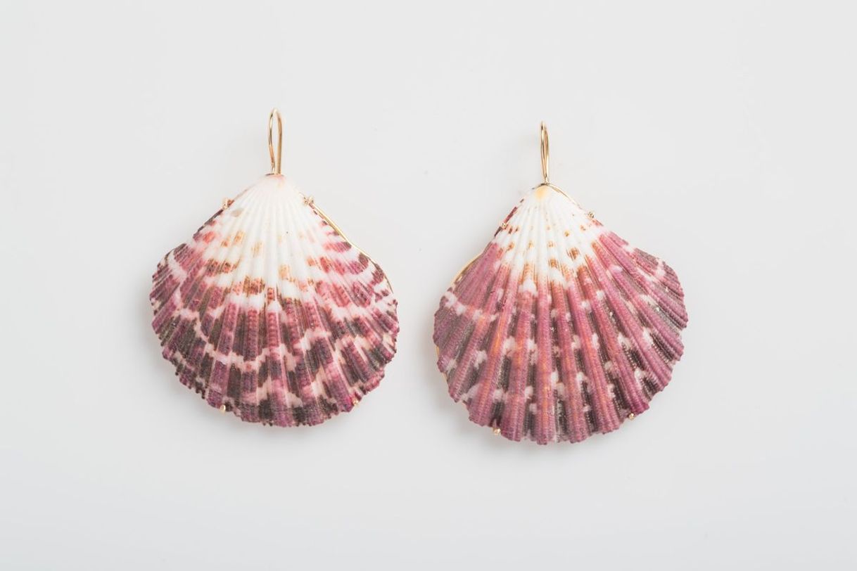 Social Shell and rose gold earrings