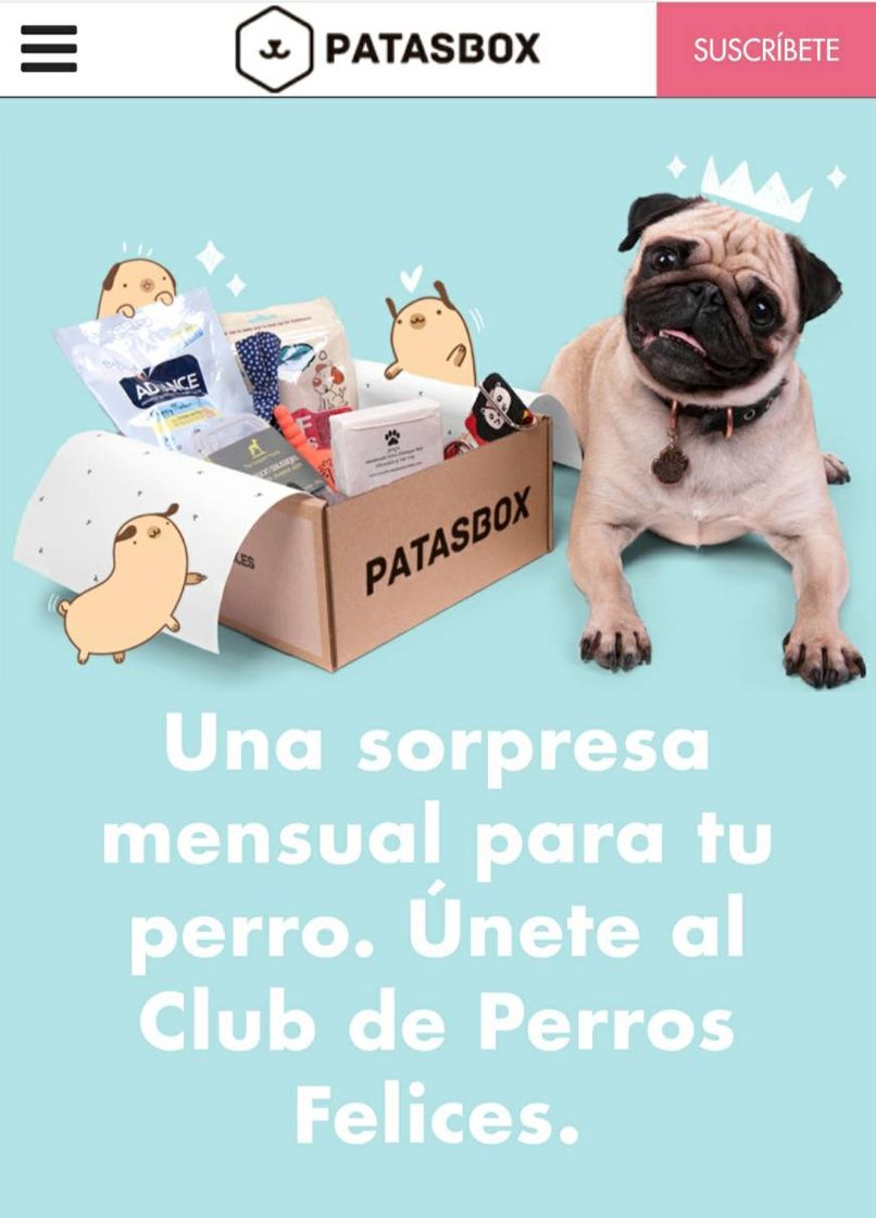 Social Patasbox 