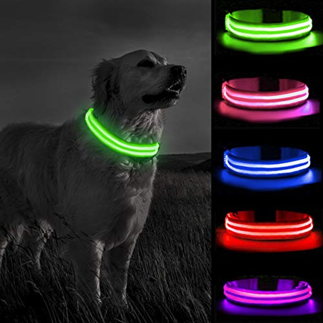 Product MELERIO Collar Luminoso Perro de Mascota 3 Modos Collar Perro Luz con