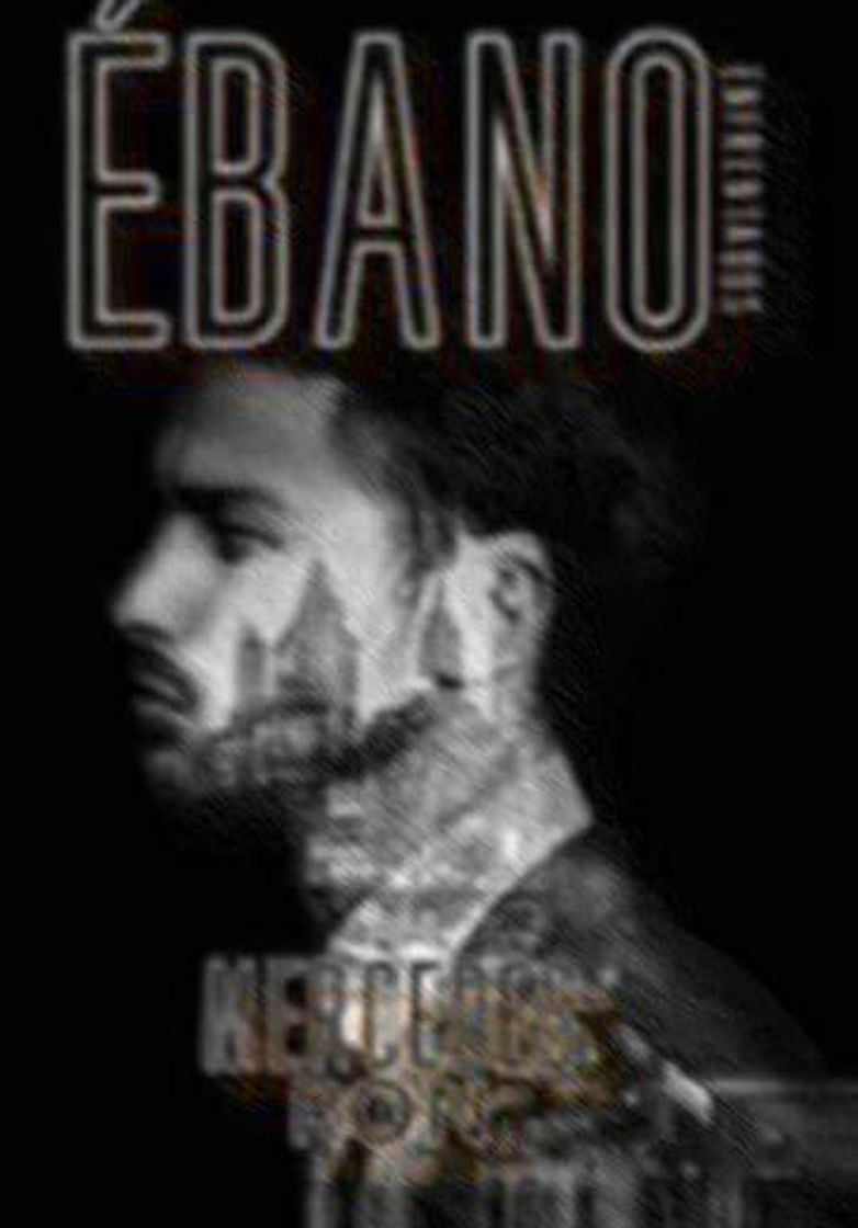 Book Ébano