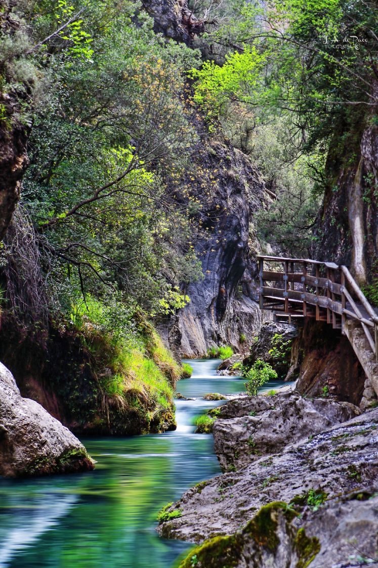 Lugar Arroyo Frio