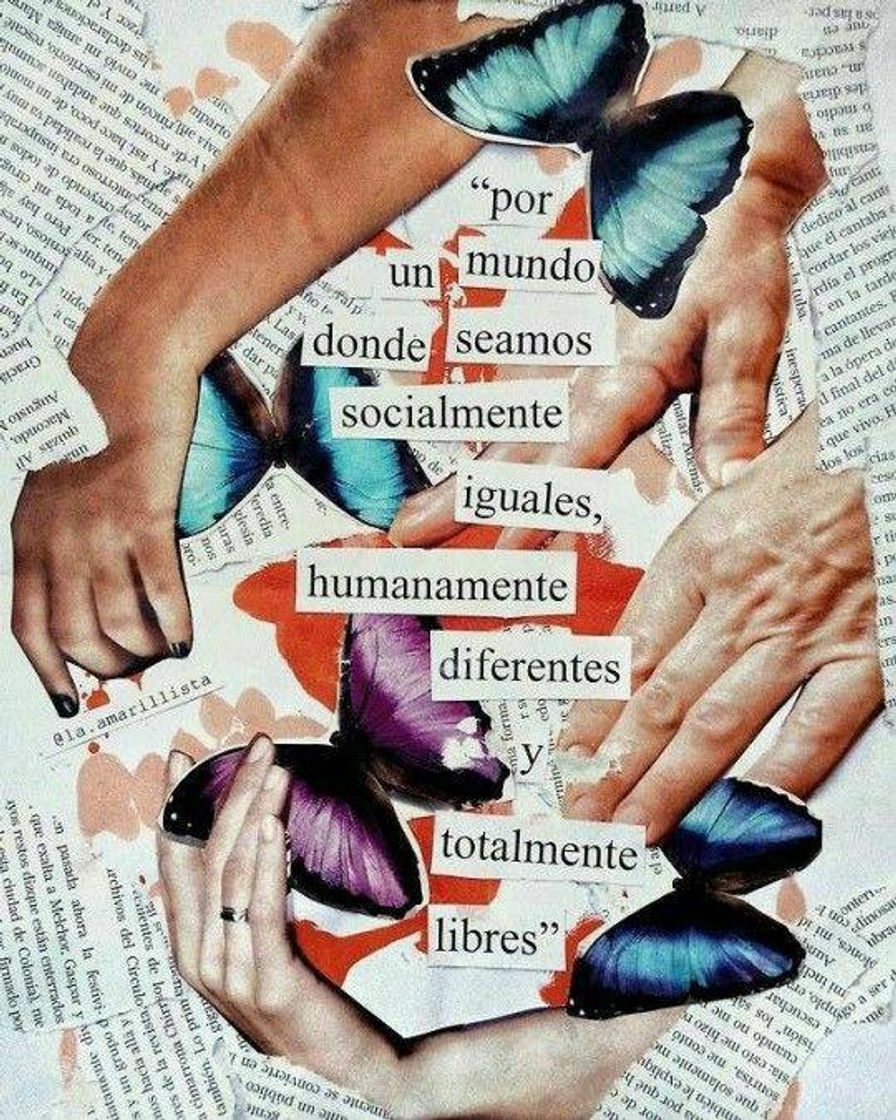 Social Colagem 