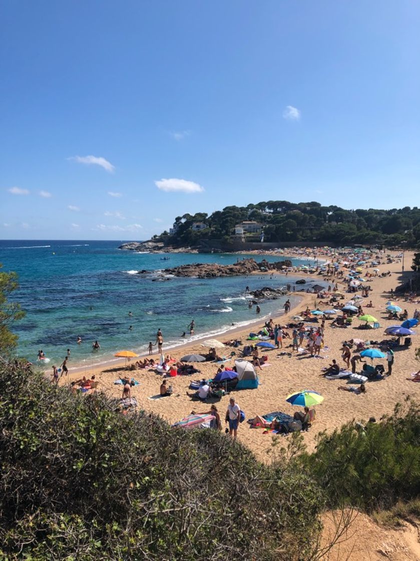 Lugar Platja d'Aro