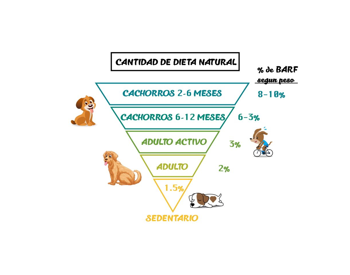 Productos Dieta Barf Natural Perros