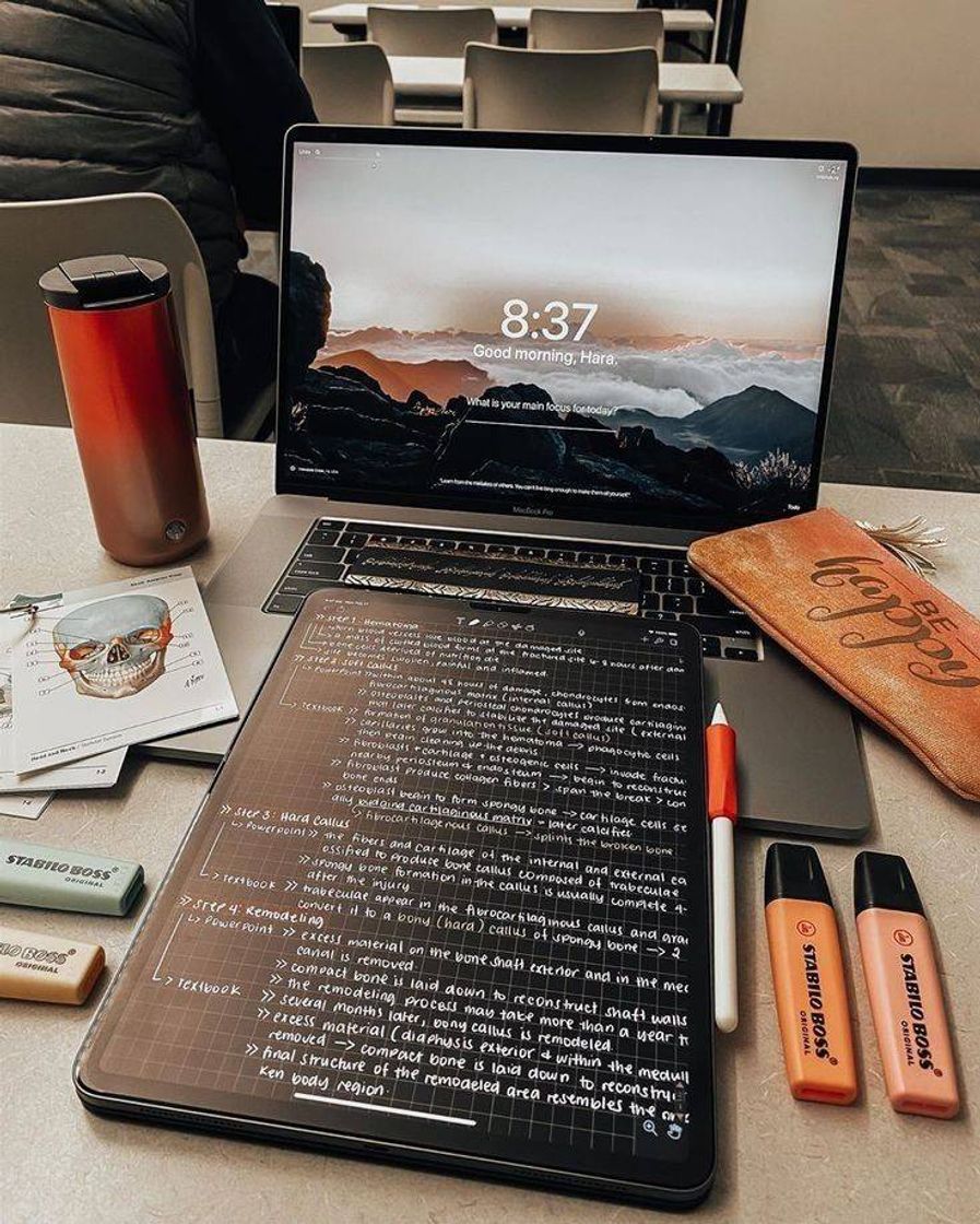 Social Study