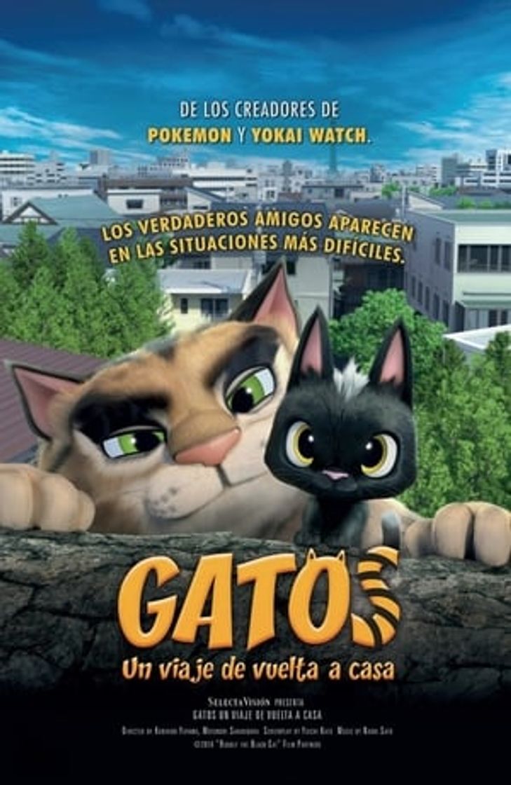 Película Gatos: Un viaje de vuelta a casa