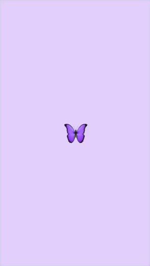 Wallpaper borboleta roxa