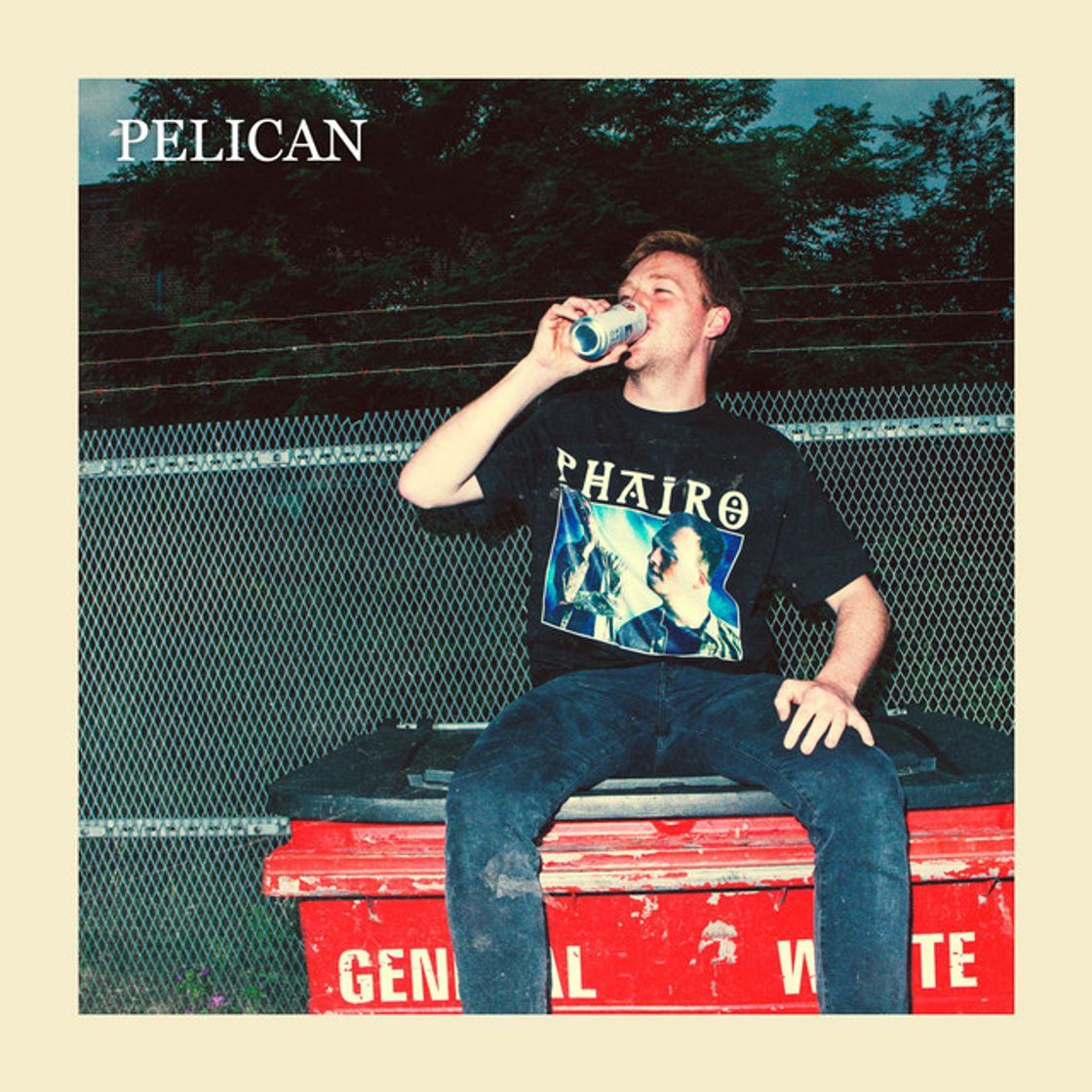 Canción Pelican