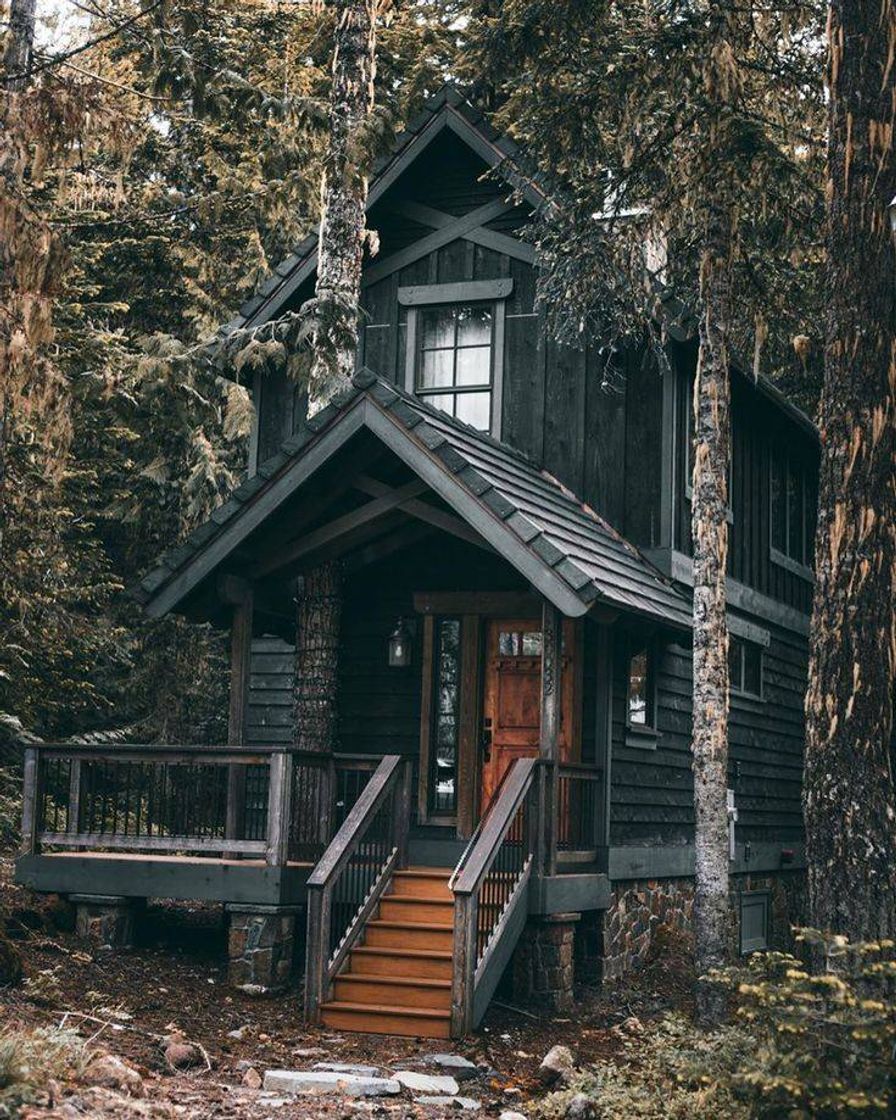 Fashion Black cabin