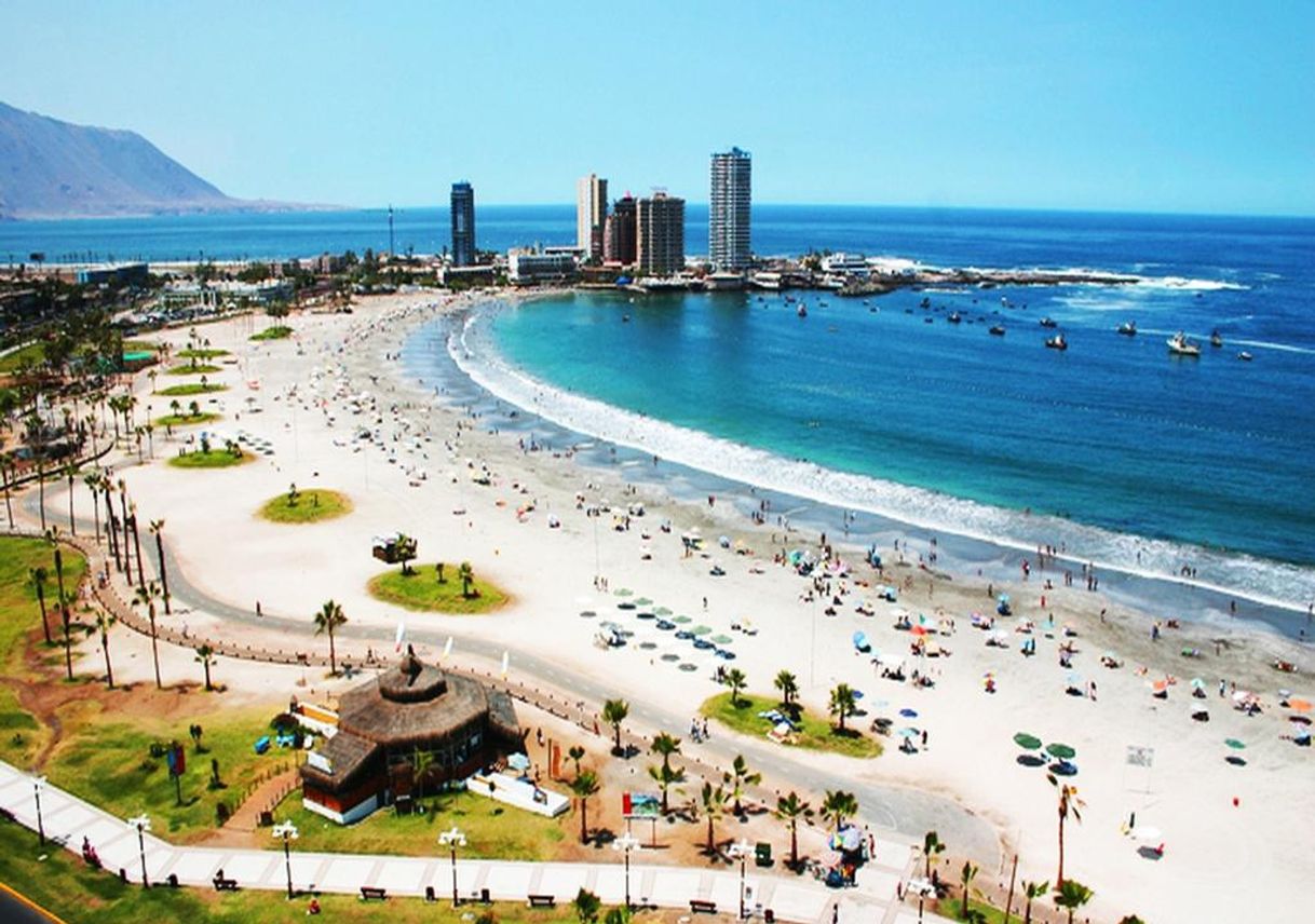 Place Iquique