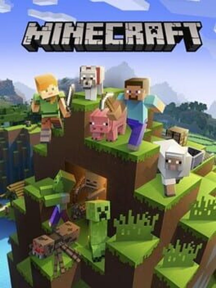 Aplicação Minecraft