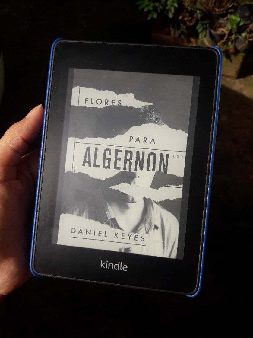 Libro O livro "Flores para Algernon" disponível no Kindle Unlimite