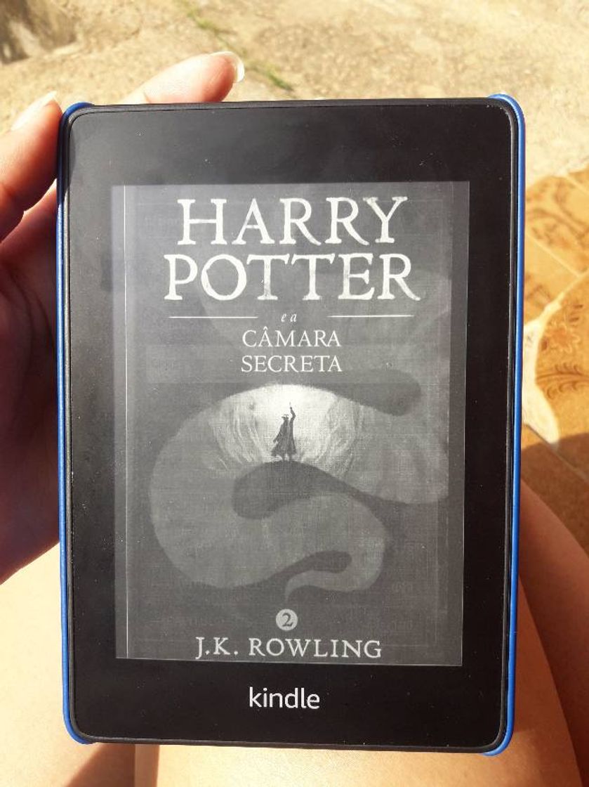 Libro Harry Potter 