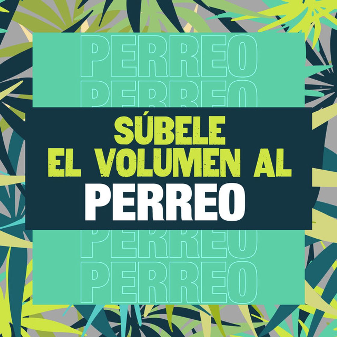 Music Algo Me Gusta De Ti