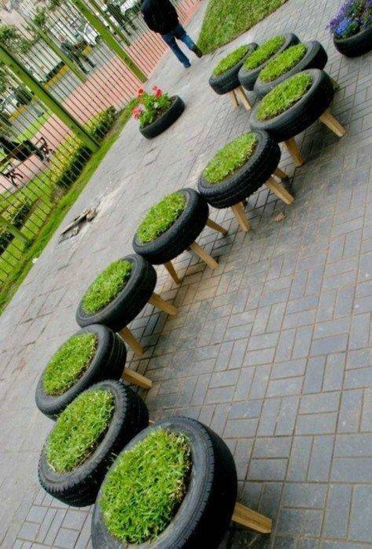Social Jardim