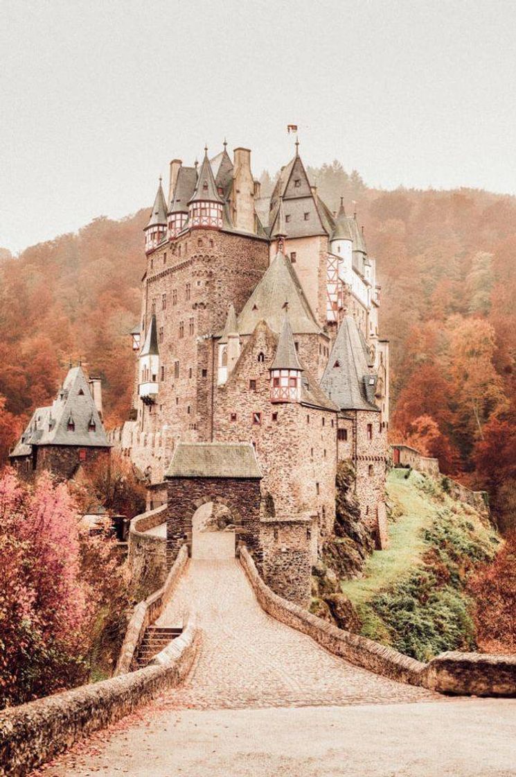 Place Eltz Castle