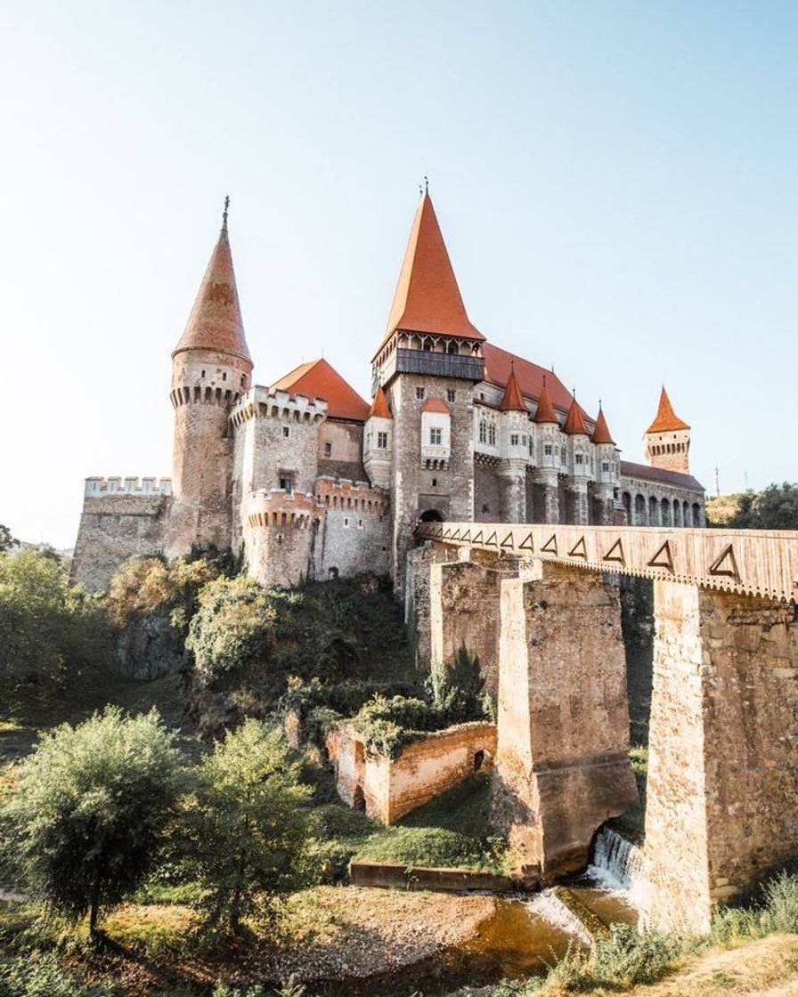 Social Castelo de Bran