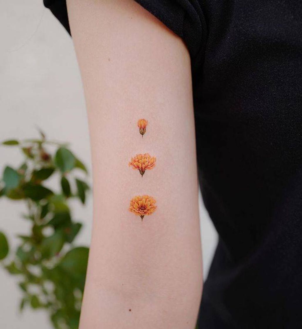Social Bloom