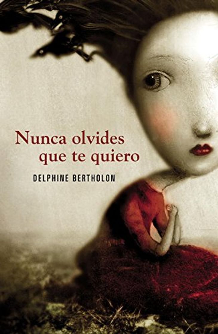 Book Nunca olvides que te quiero