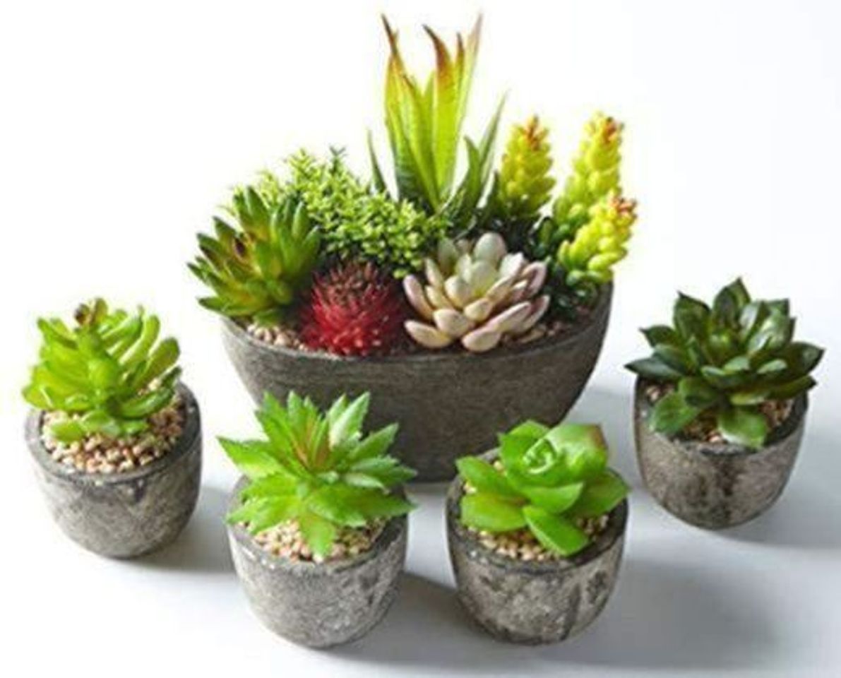 Product Jobary 5pcs Plantas Suculentas Artificiales Falso Plantas Decorativas Suculentas，Ideal para el Hogar