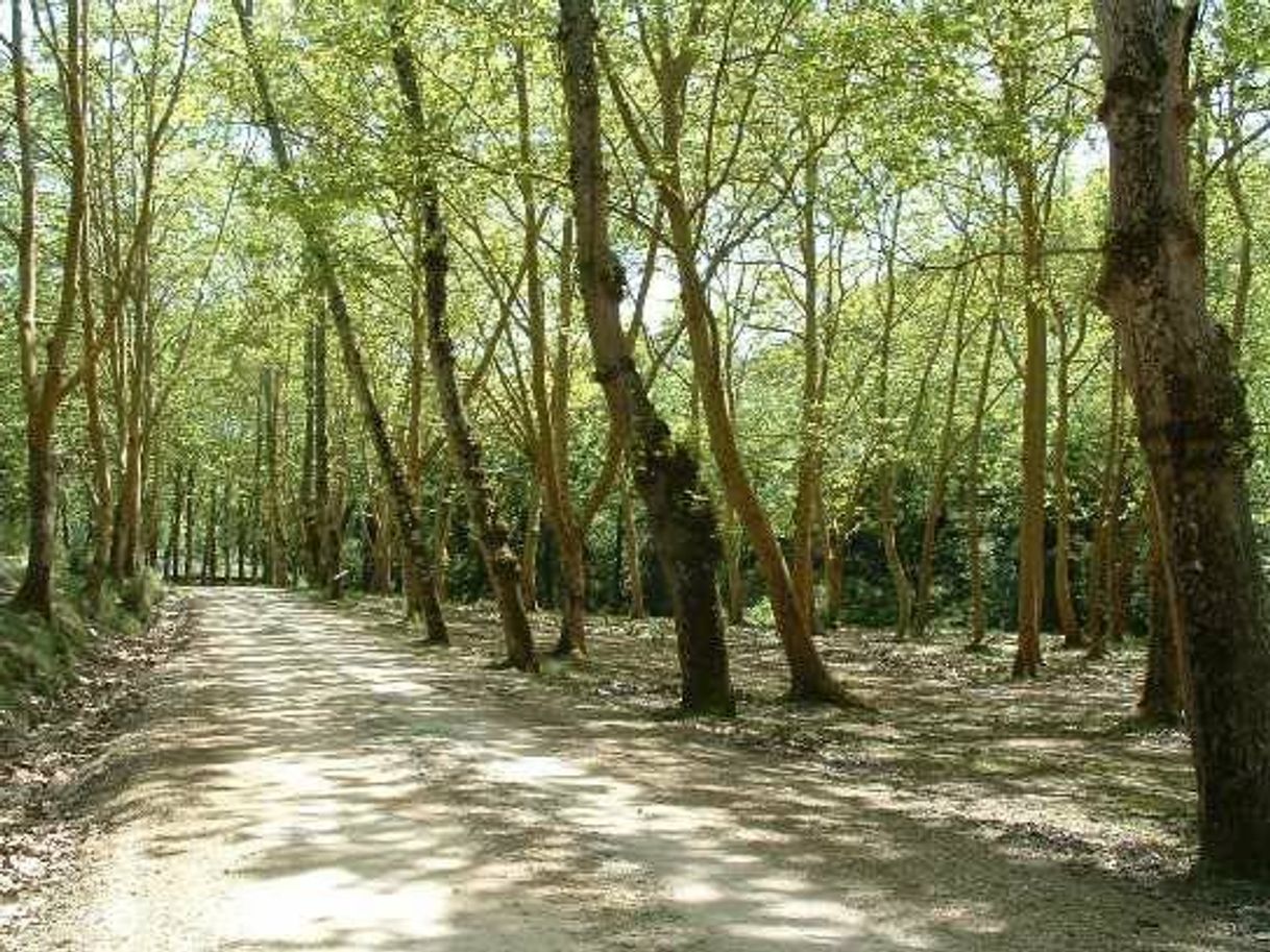 Lugar Tapada Nacional de Mafra