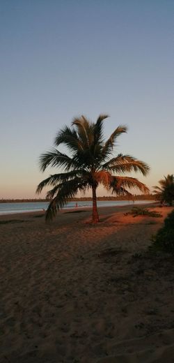 Playa Esmeralda 