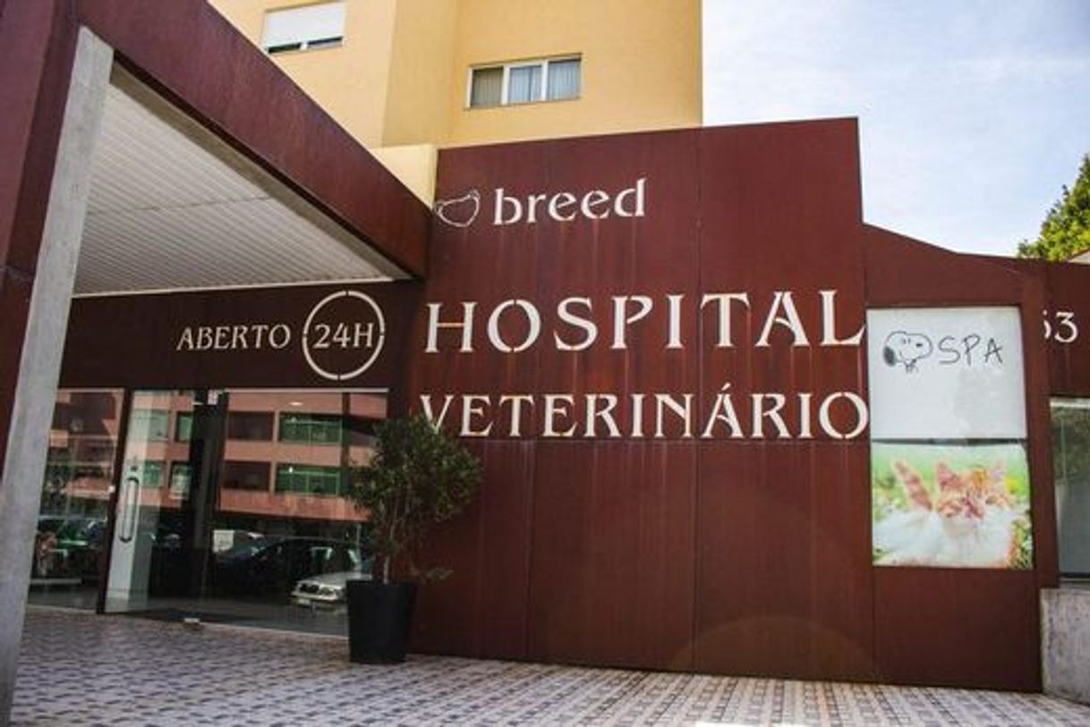 Lugar Breed - Hospital Veterinário Paredes