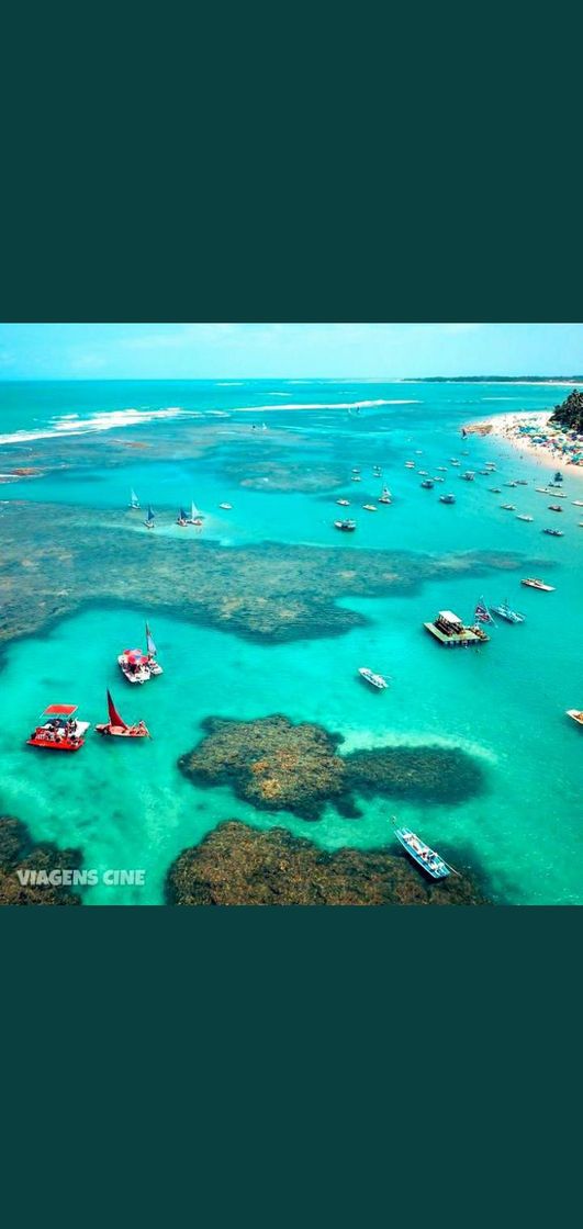 Lugar Porto de Galinhas