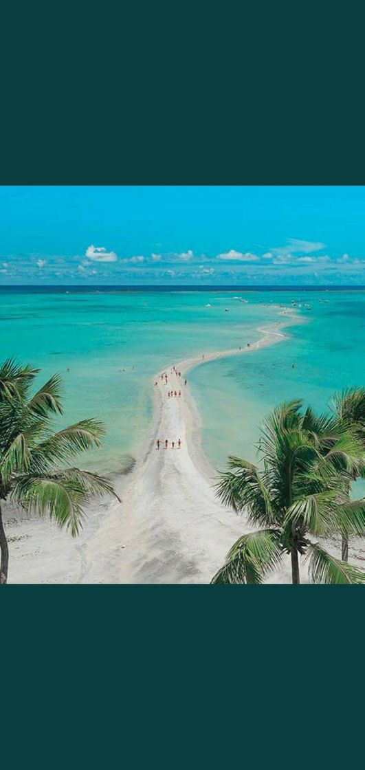 Lugar Alagoas