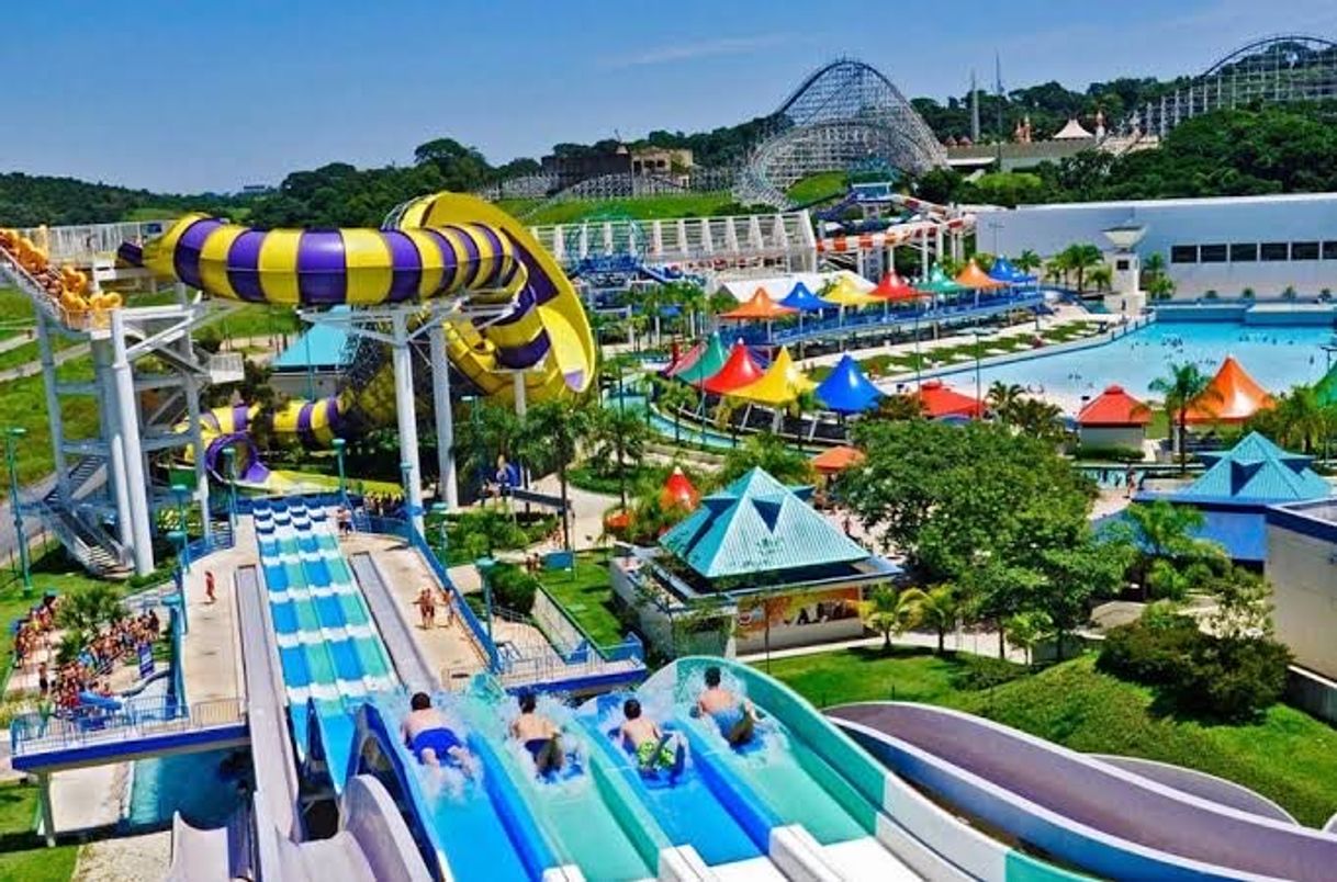 Lugar Wet'n Wild