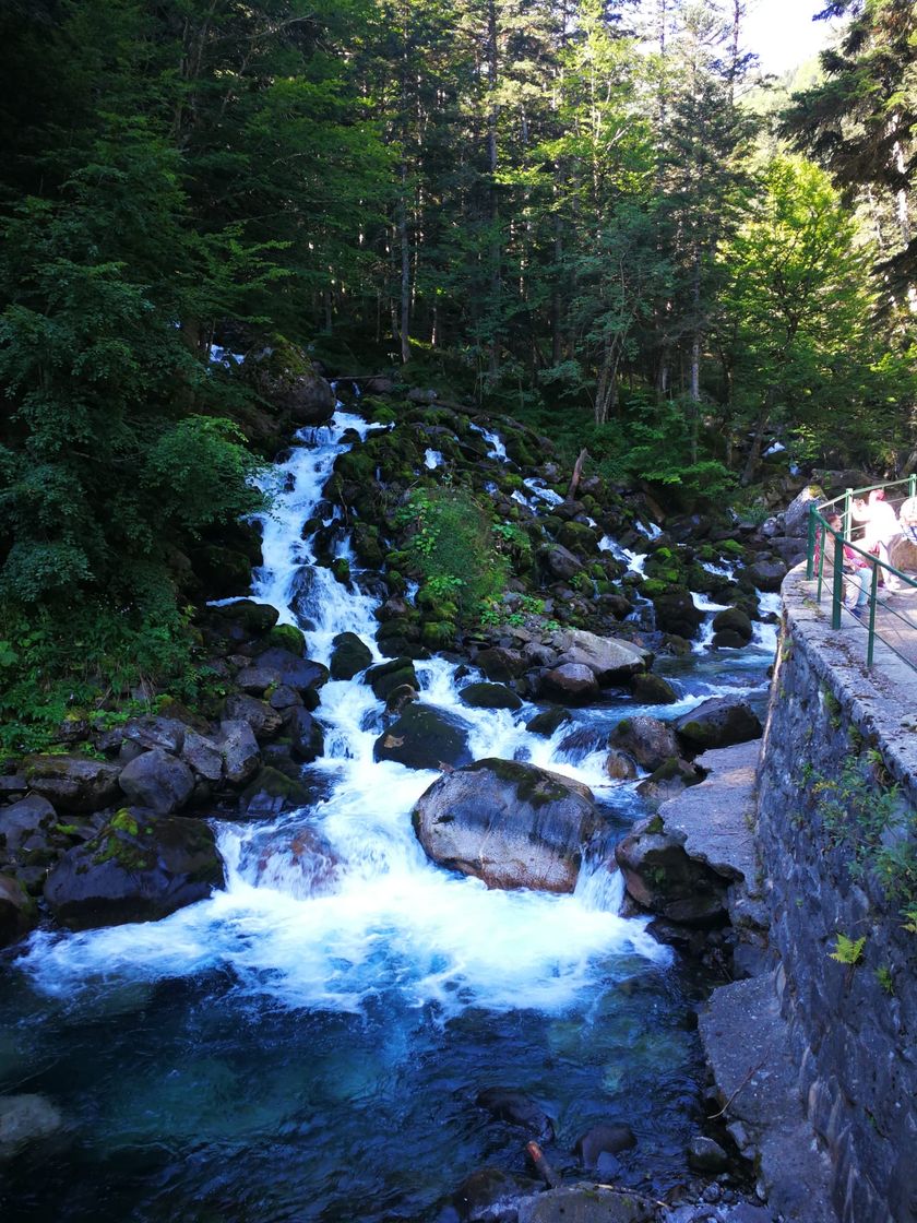 Place Vall de Núria