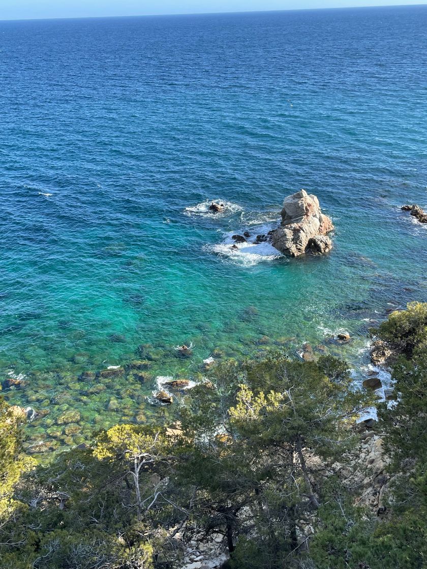 Place Lloret de Mar