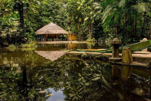 Bosque Rodrigues Alves Jardim Zoobotânico da Amazônia