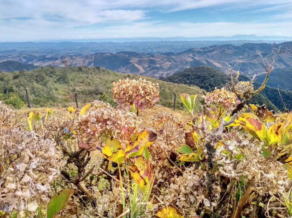 Lugar Pedra da Macela