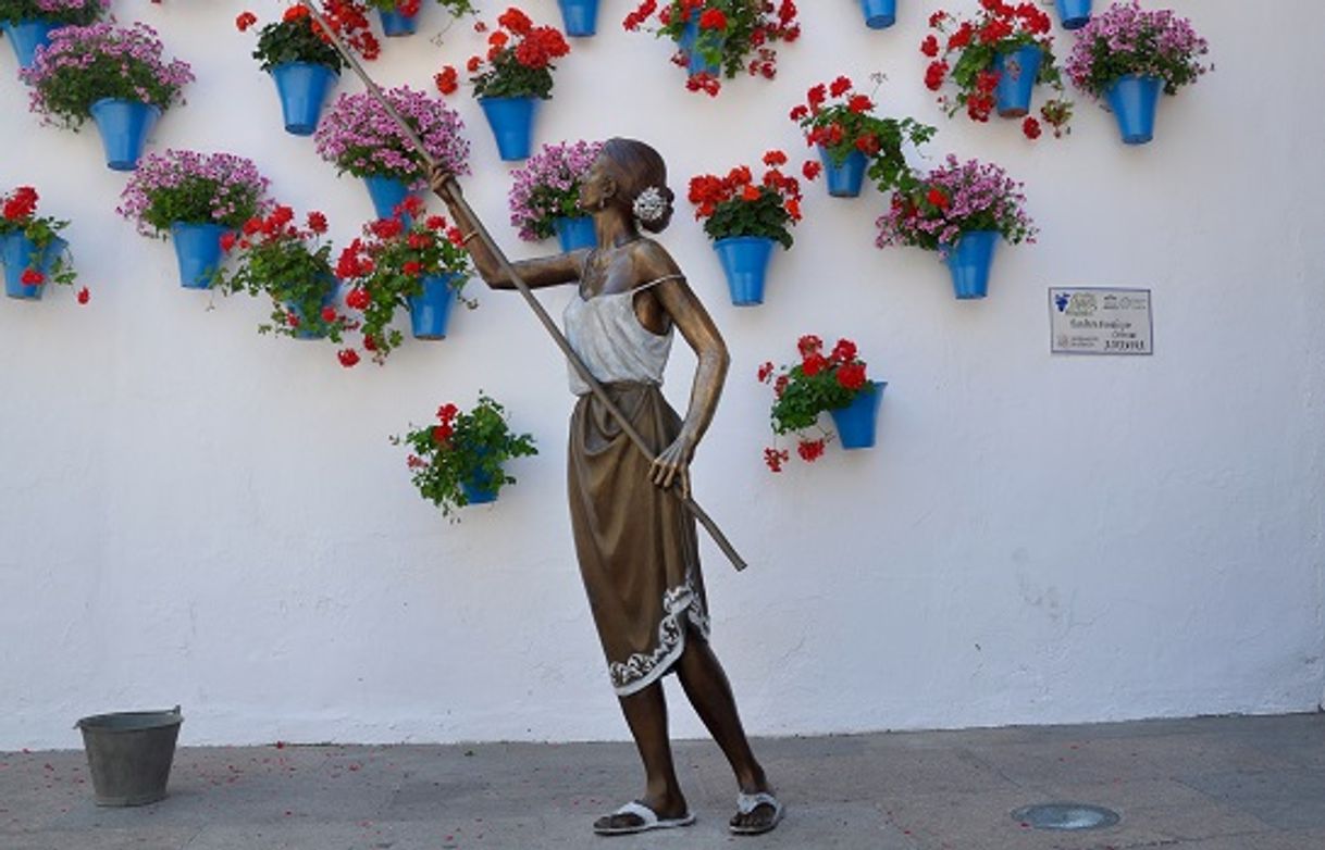 Place Homenaje a los cuidadores de patios