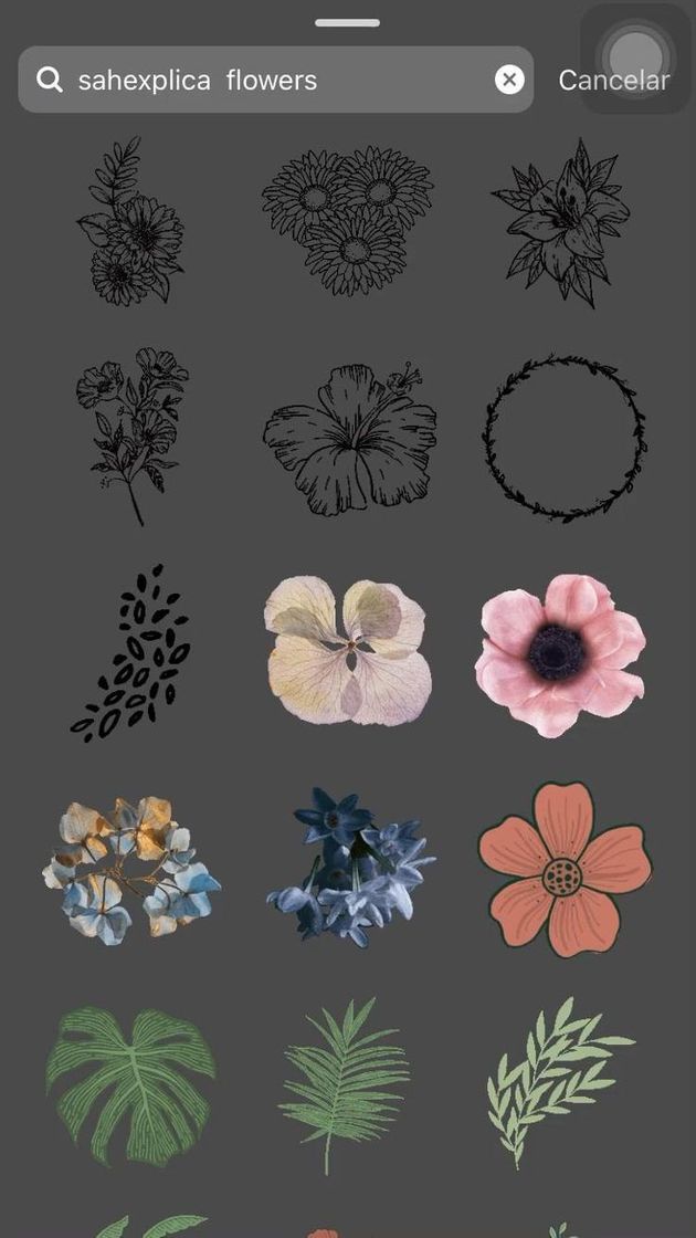 Moda Gif de flores