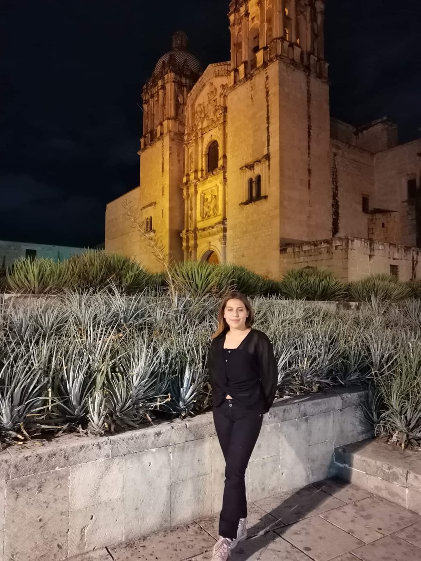 Place Templo de Santo Domingo